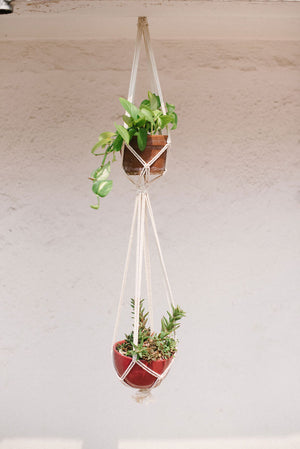 The Leticia Double Plant Hanger