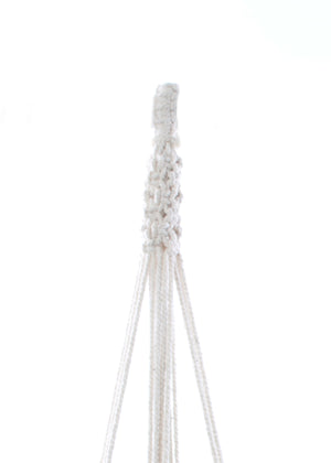 The Angelica Plant Hanger