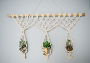 The Elena Plant Hanger